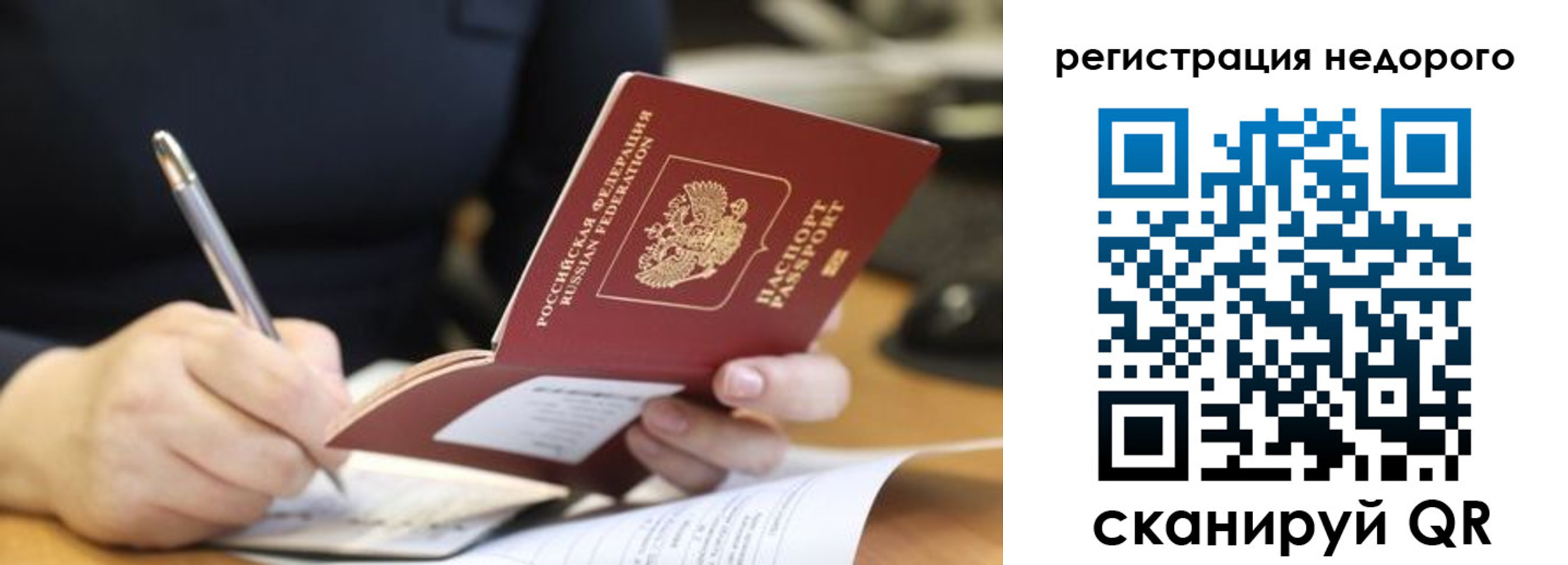 прописка гарантия в Карабаново